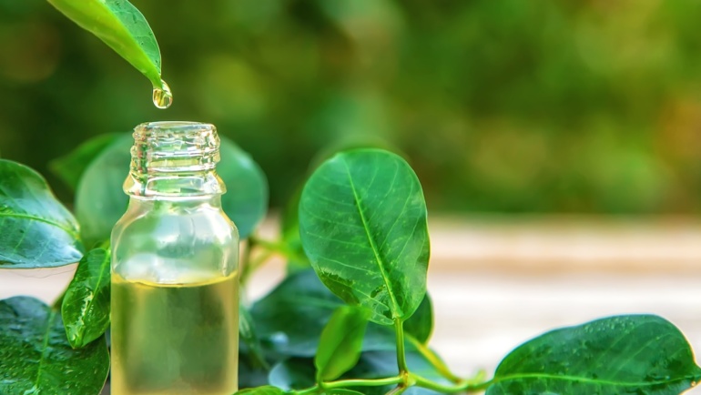 tea tree