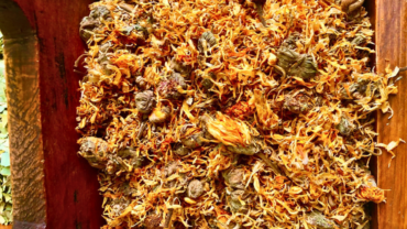 Calendula